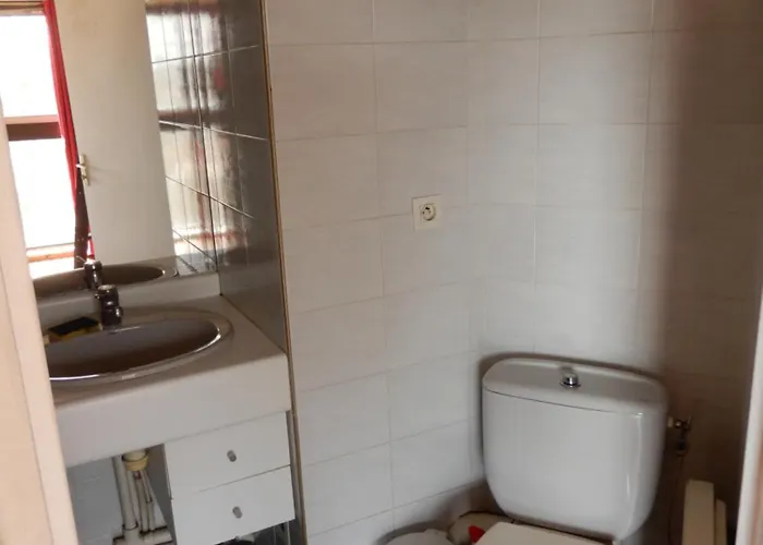 Voila Un Joli Toulousain !